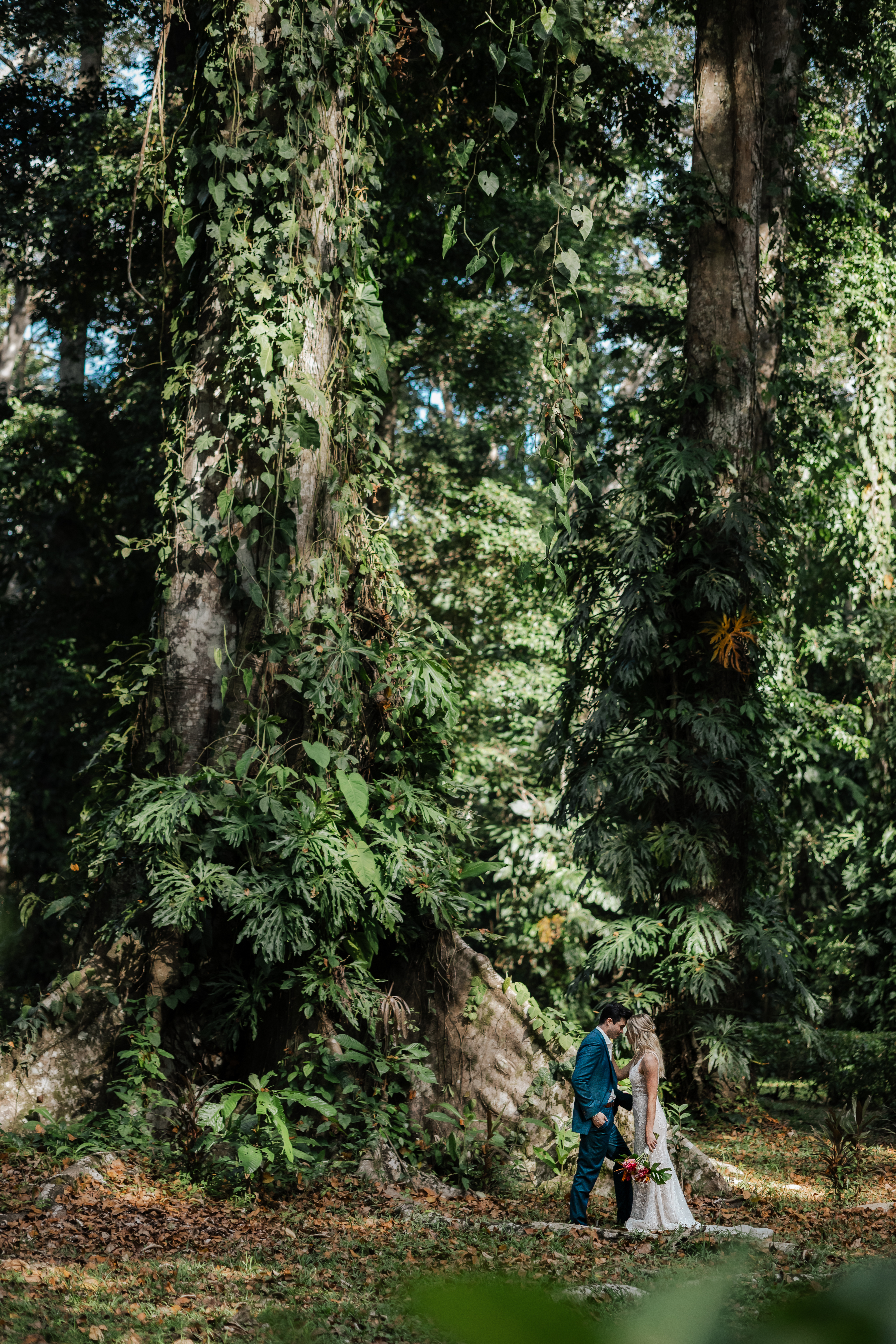 Forested pathway leading to Playa Punta Uva